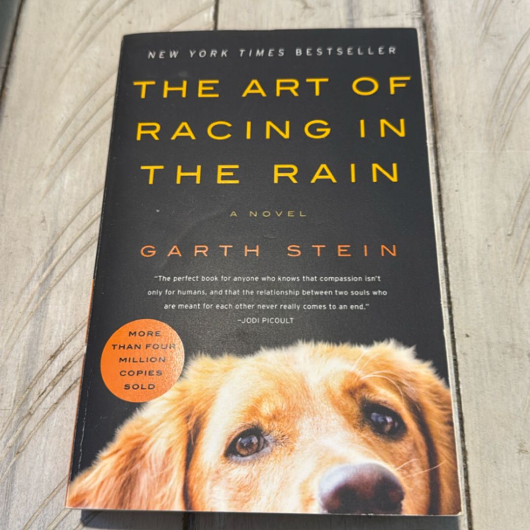 The Art of Racing in the Rain