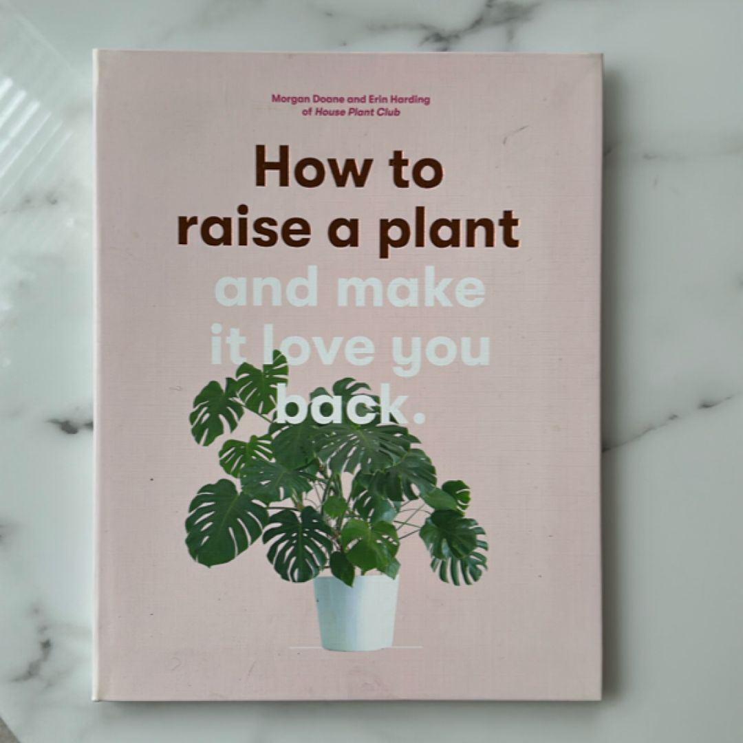How to Raise a Plant