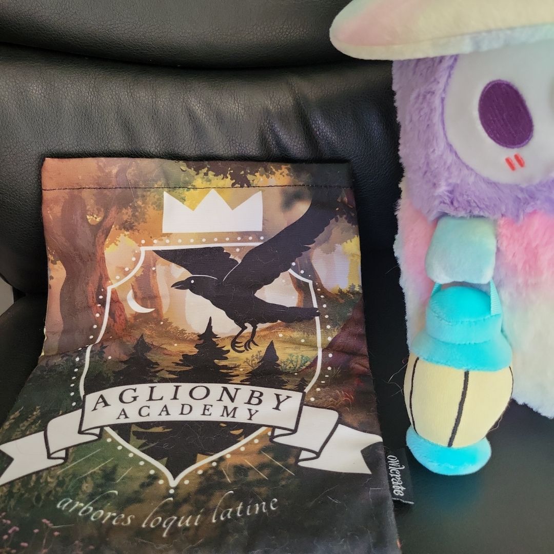 Raven Boys Book Sleeve