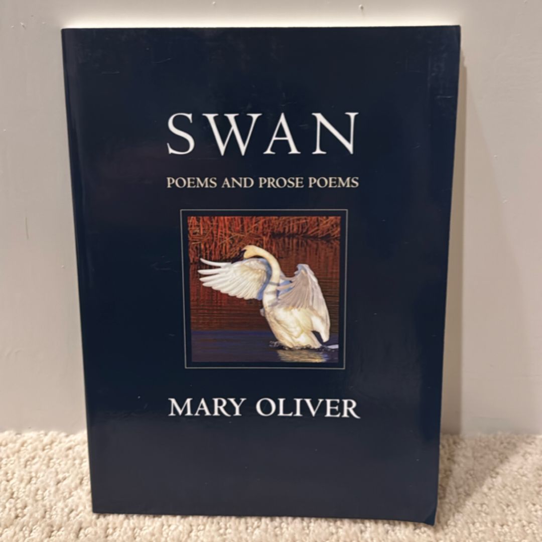Swan