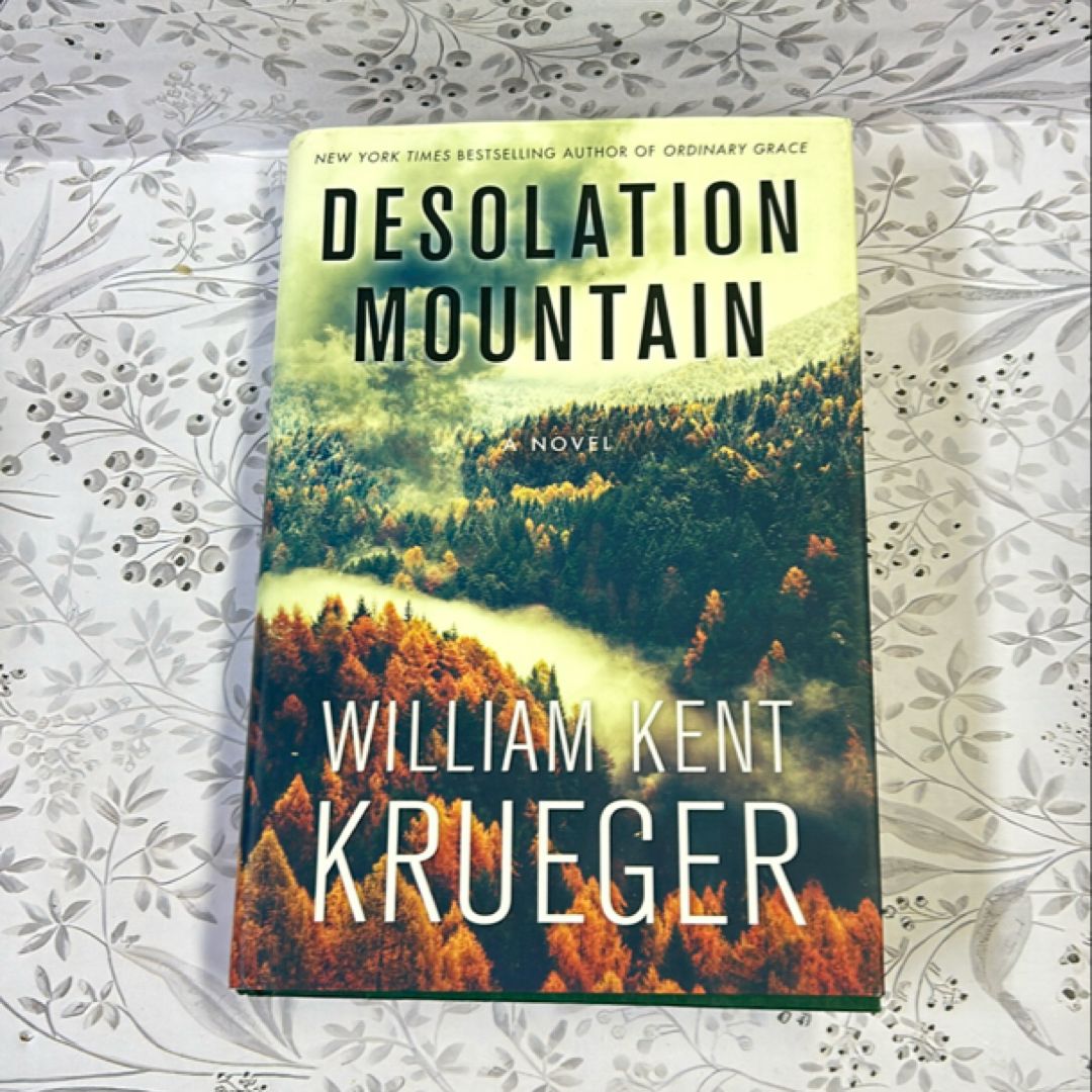 Desolation Mountain A Novel