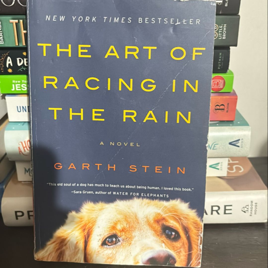 The Art of Racing in the Rain