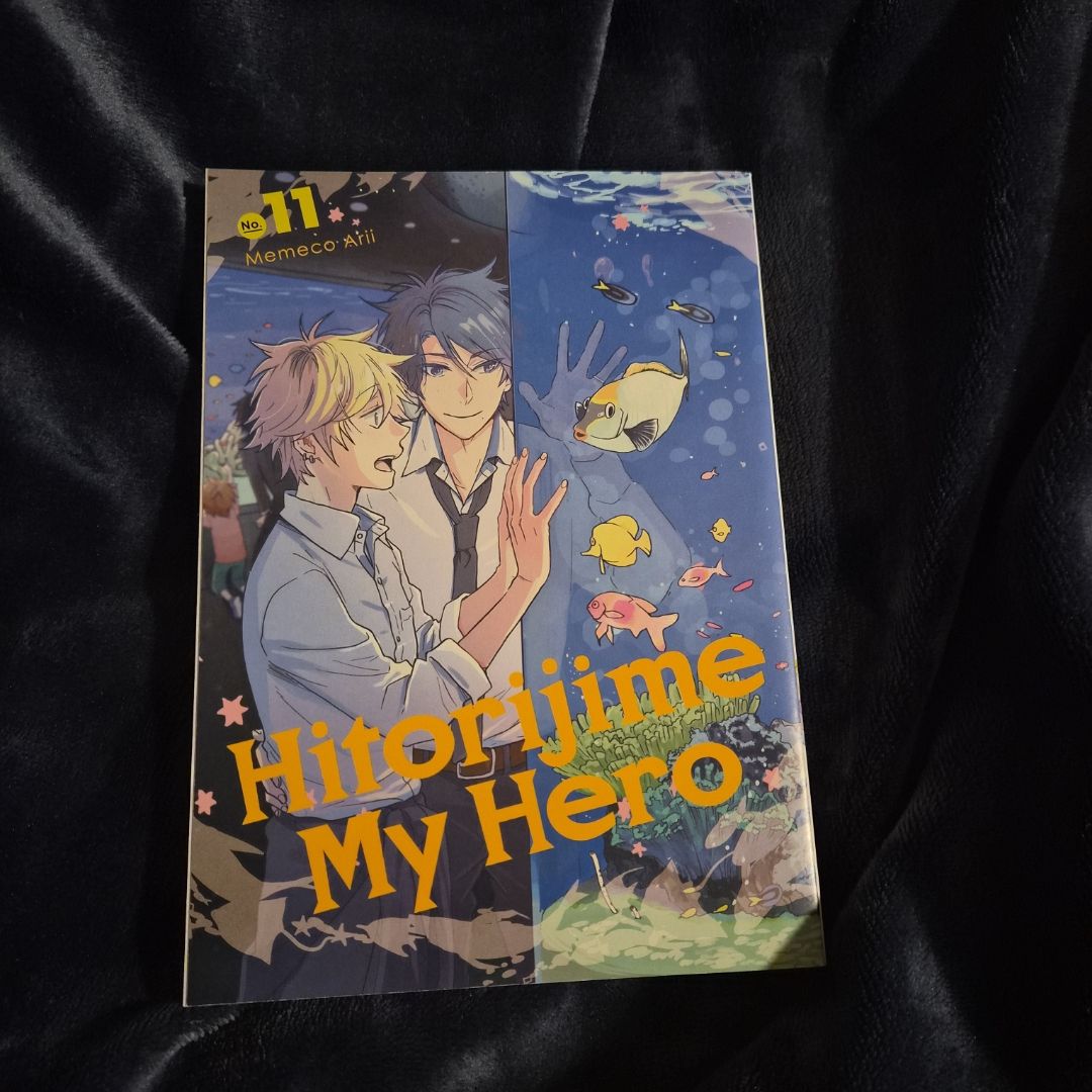 Hitorijime My Hero 11