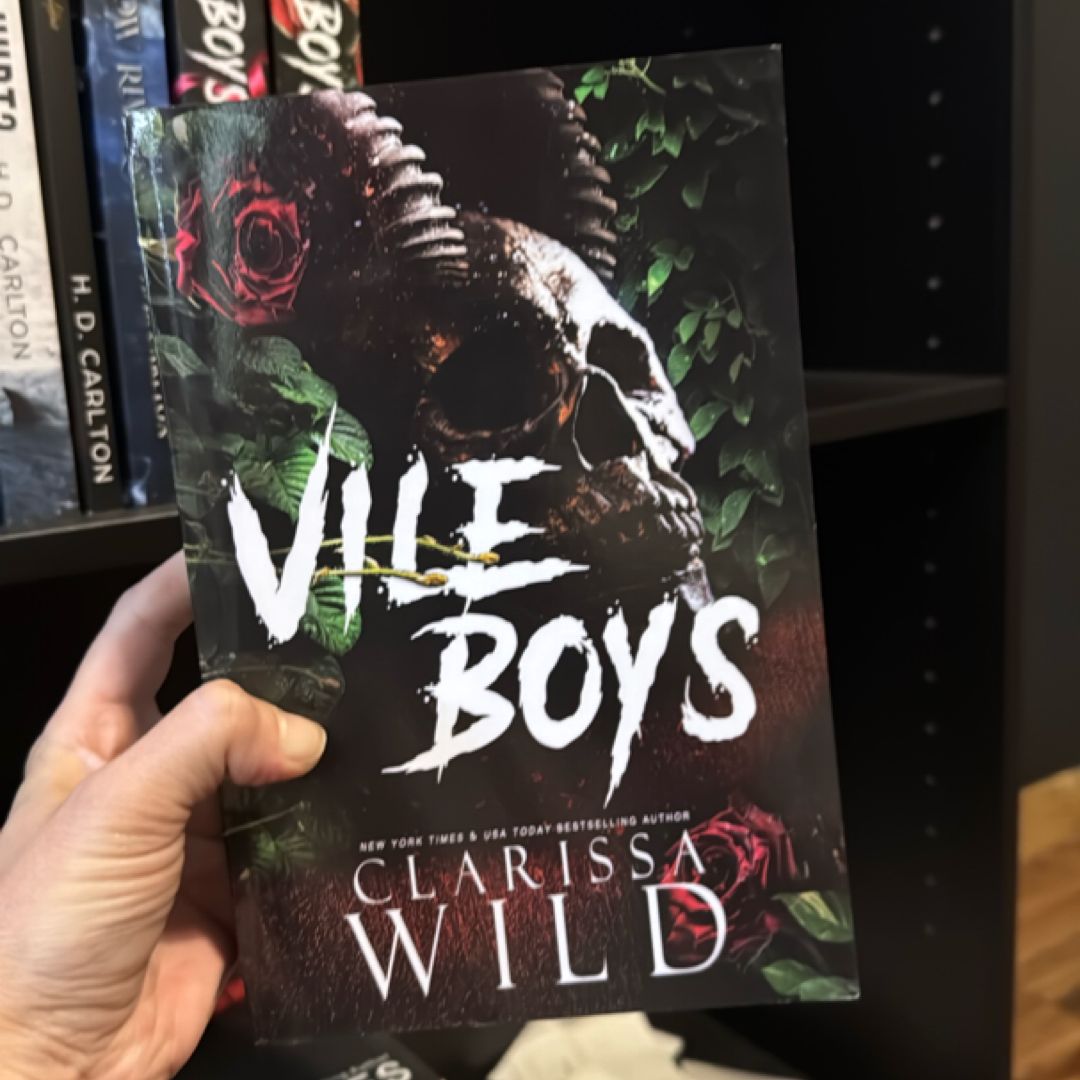 Vile Boys