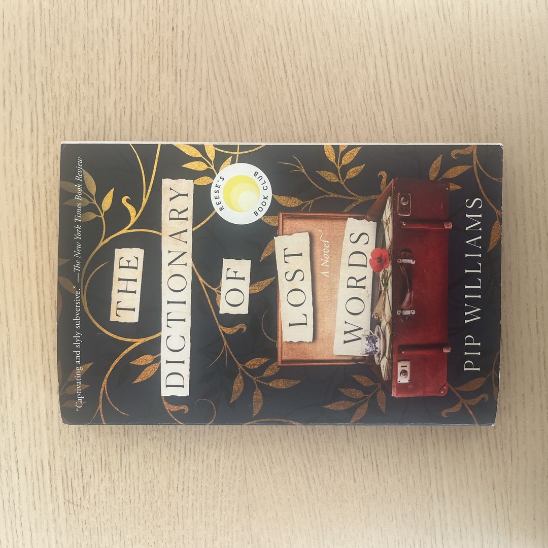 The Dictionary of Lost Words