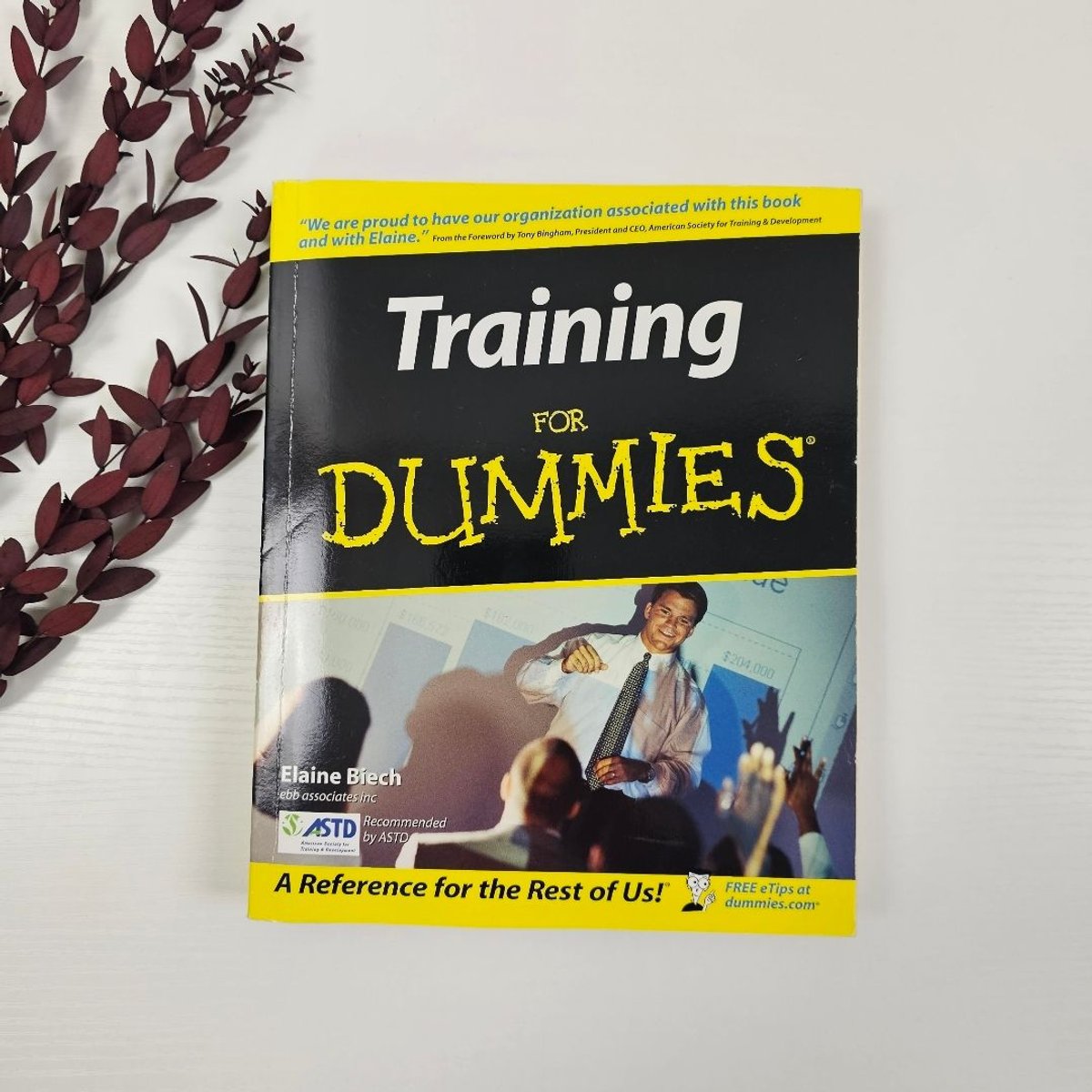 Training for Dummies by Elaine Biech