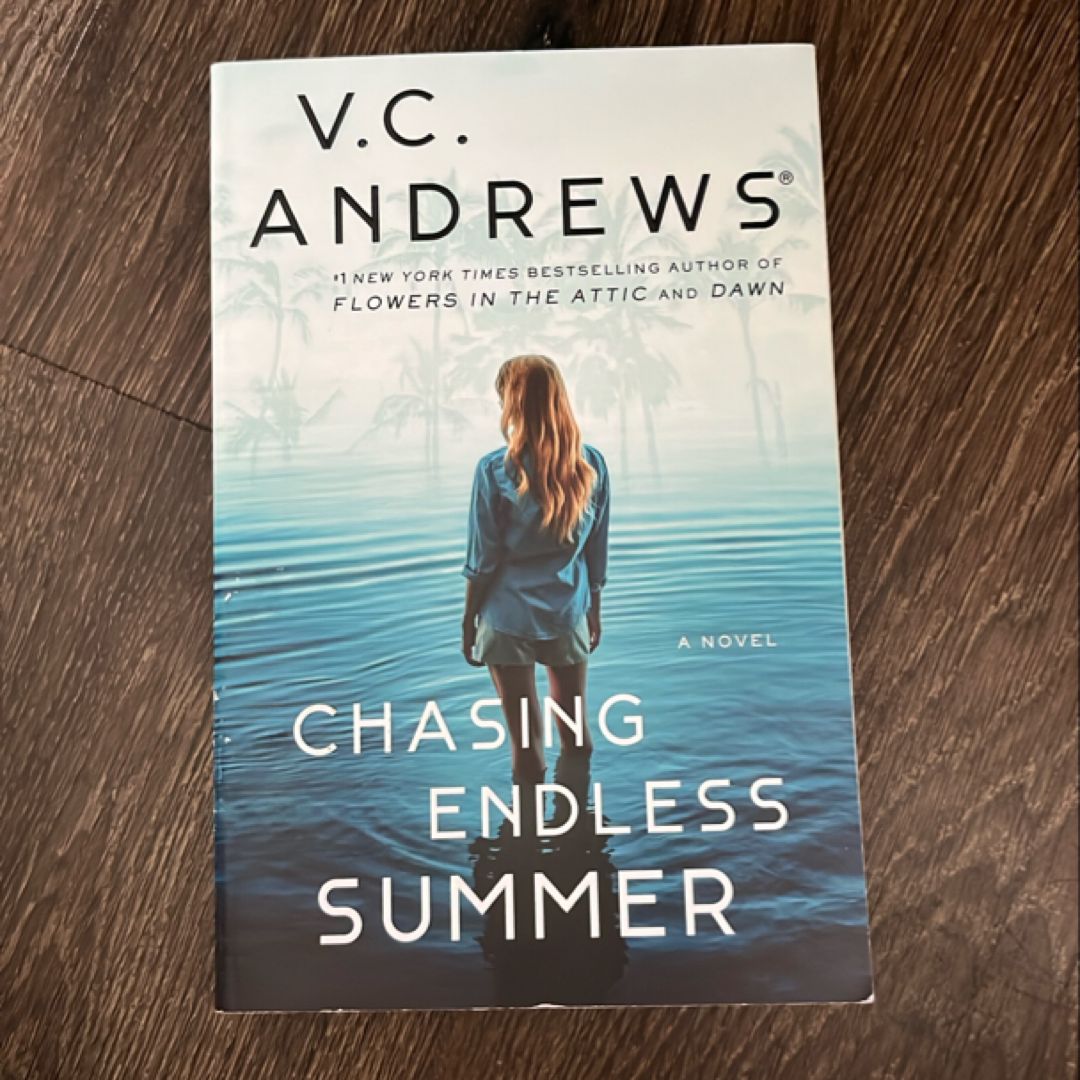 Chasing Endless Summer