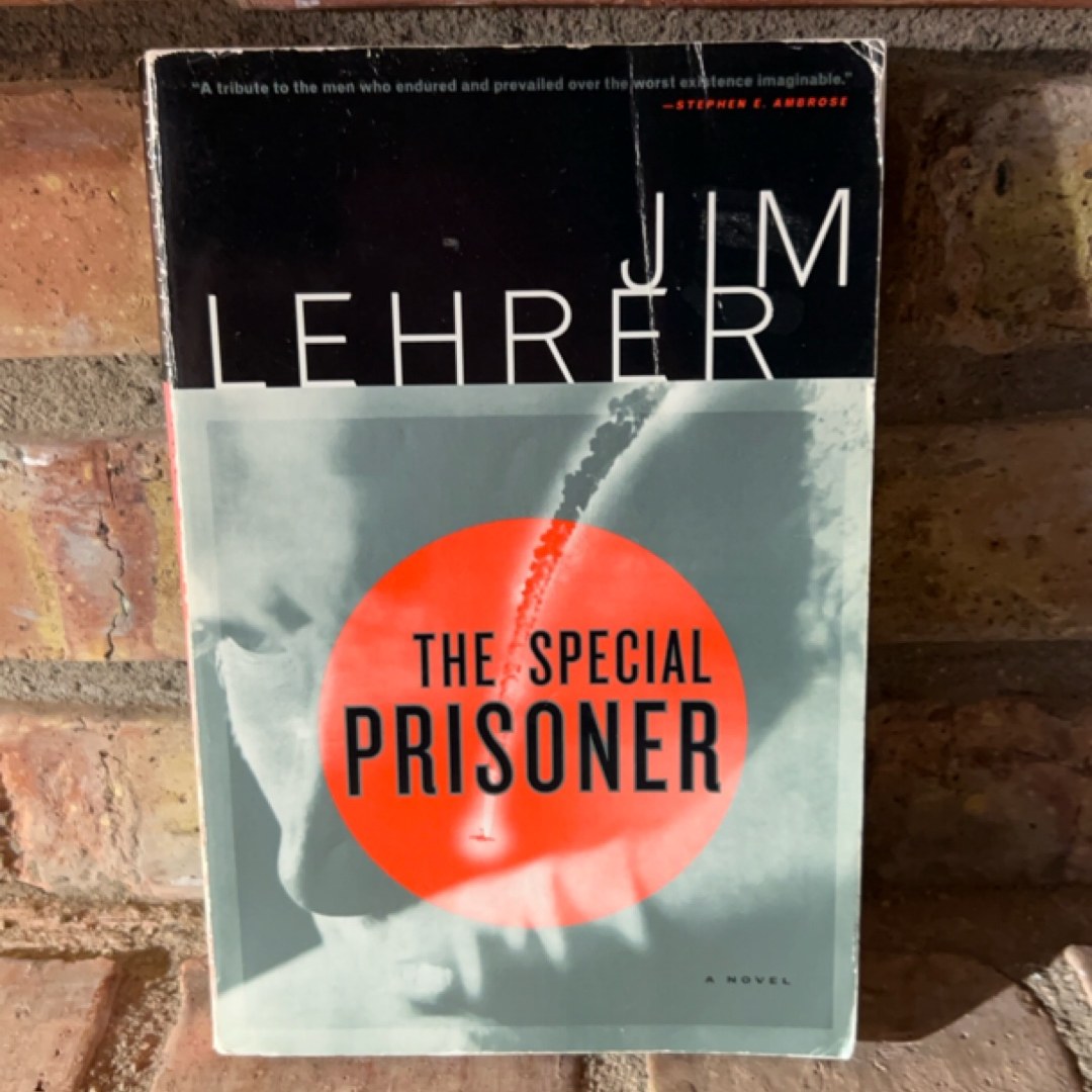 The Special Prisoner