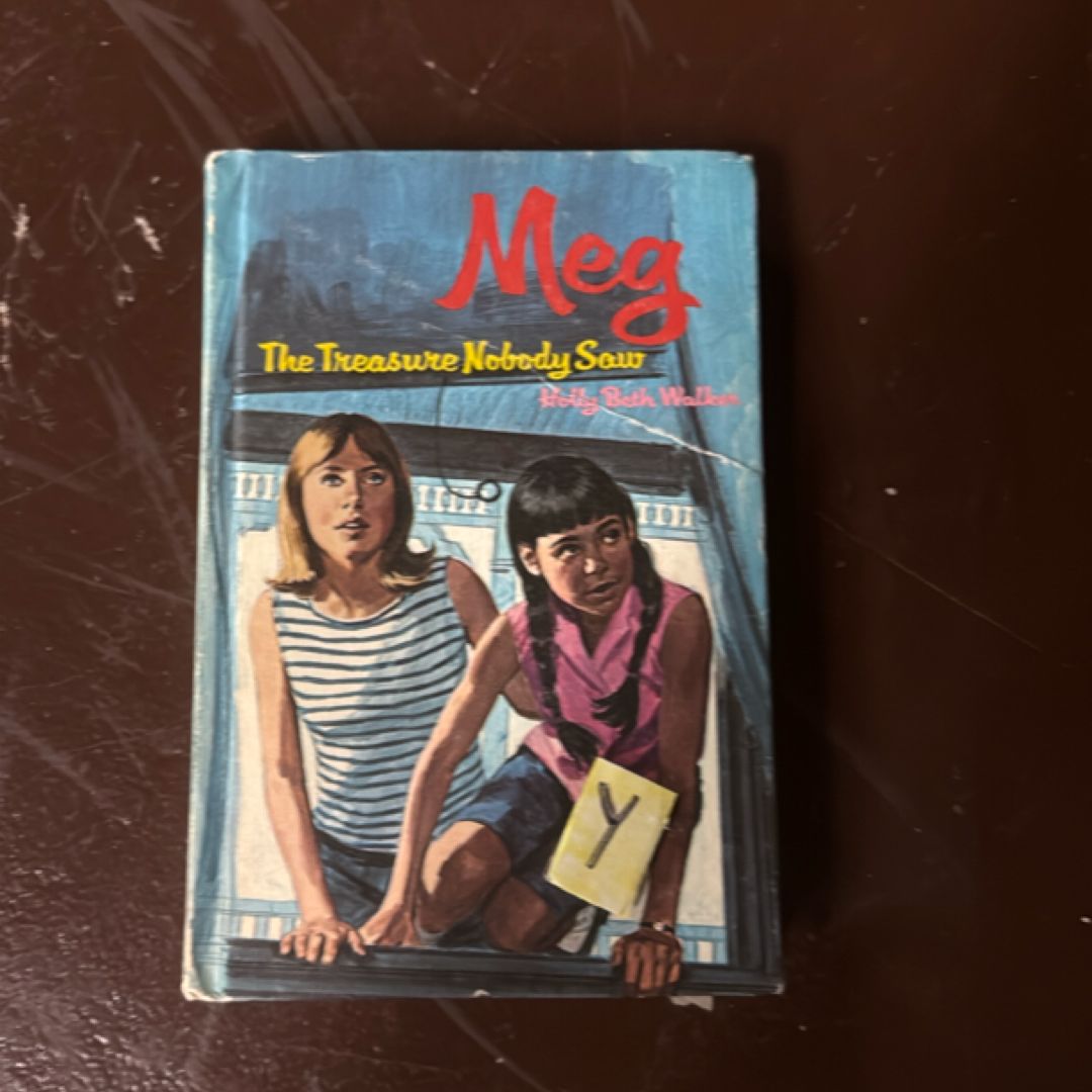 Meg and the Treasure Nobody Saw