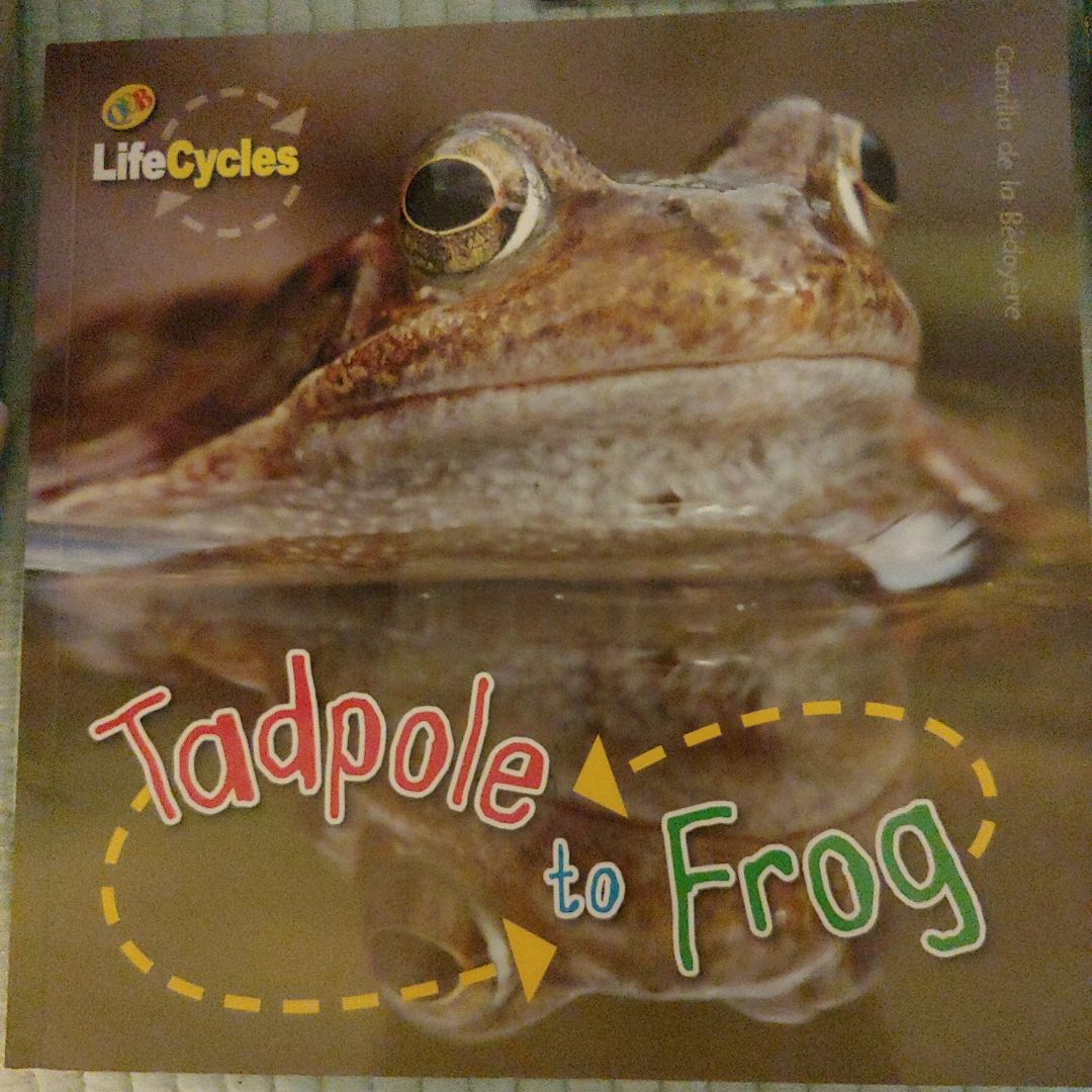 Tadpole to Frog