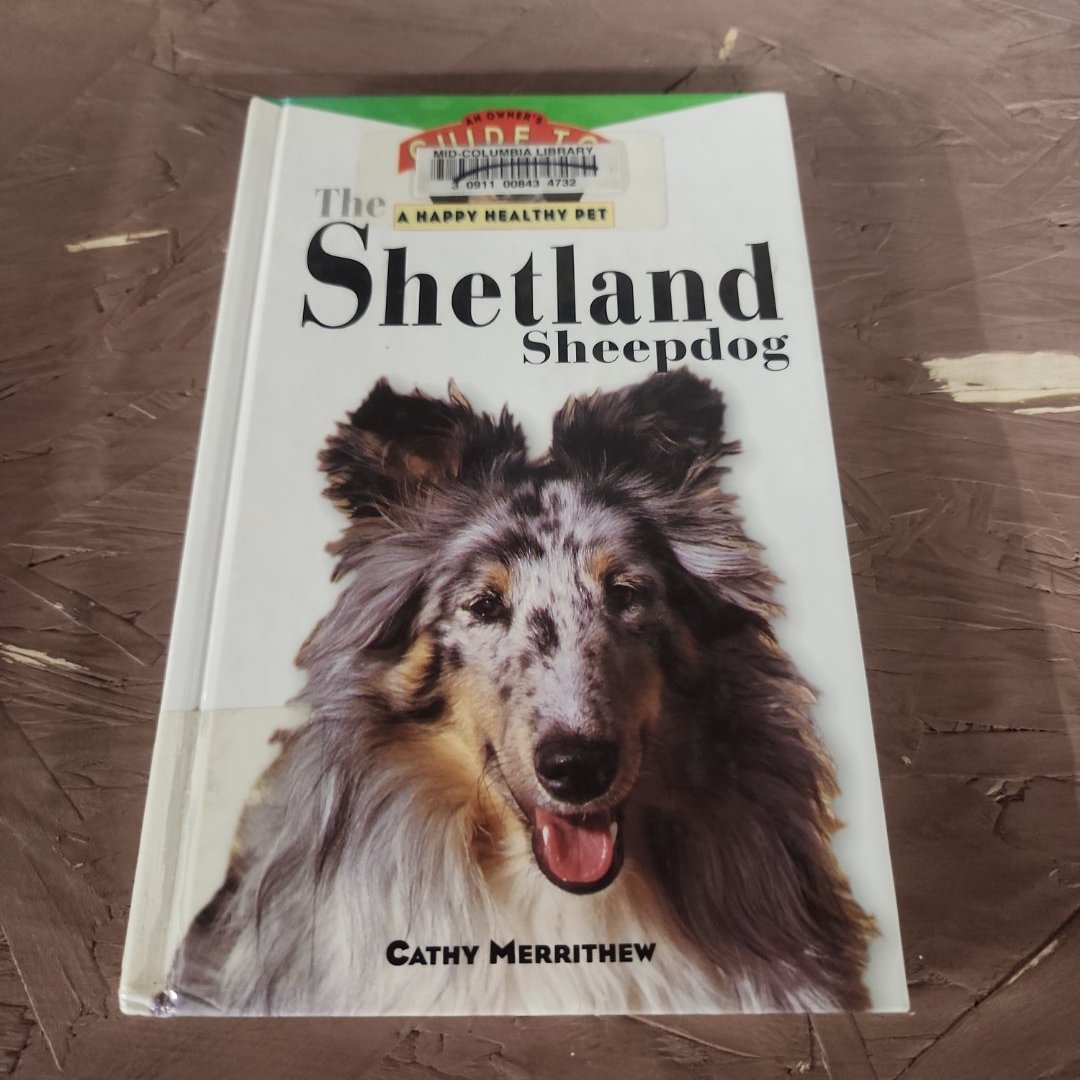 The Shetland Sheepdog