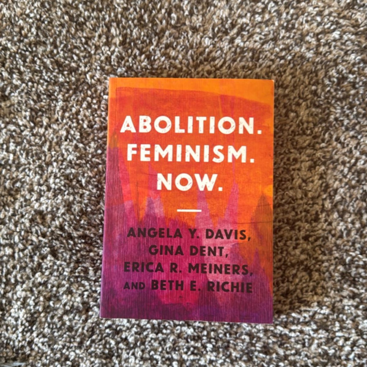 Abolition. Feminism. Now by Gina Dent; Erica R. Meiners; Angela Y ...