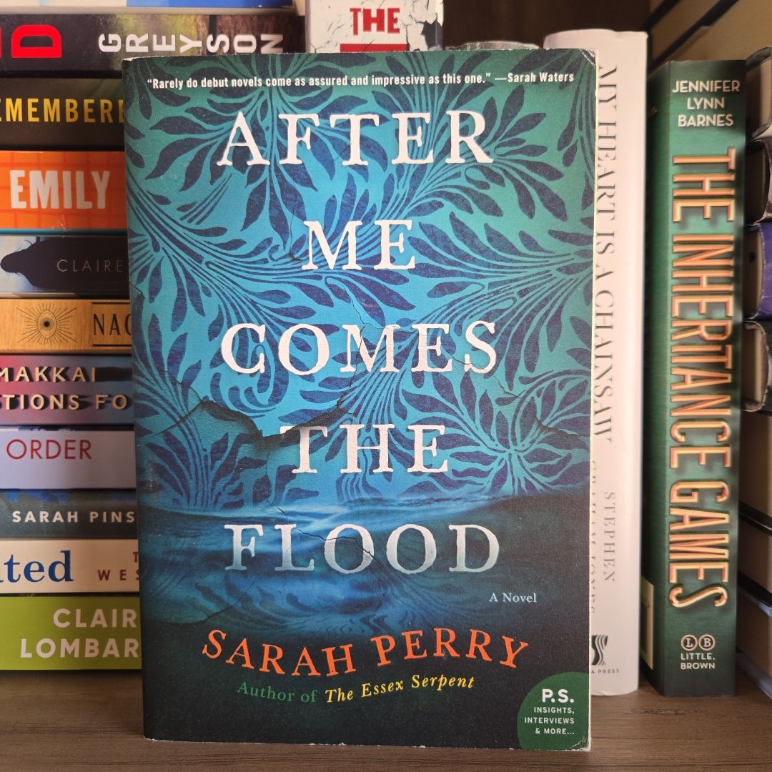 After Me Comes the Flood