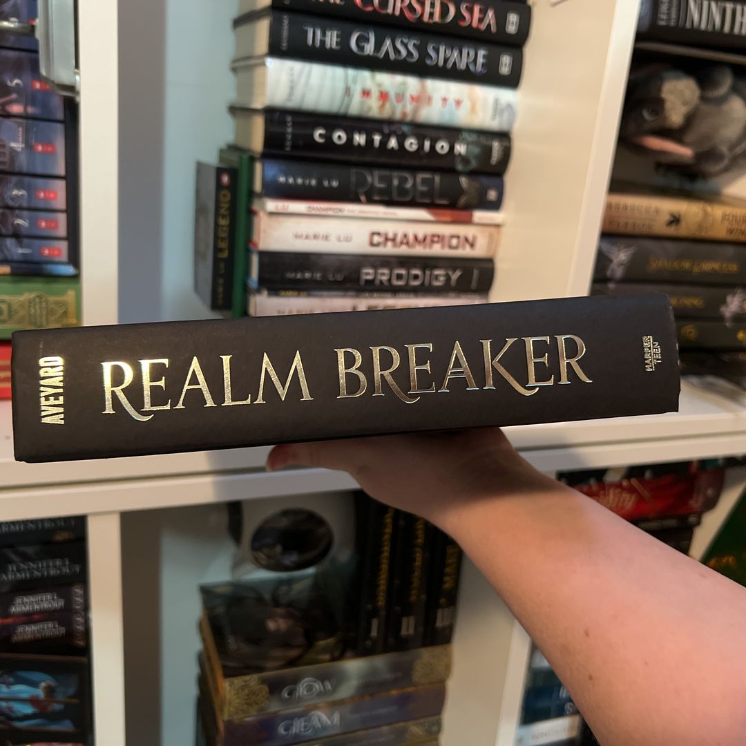 Realm Breaker