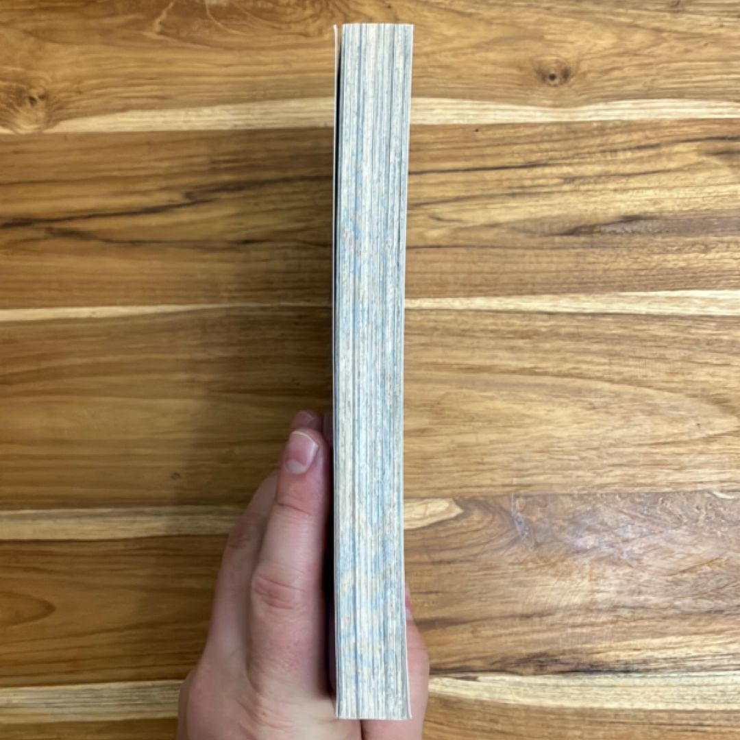 Kingdom Hearts II vol 1 SCHOLASTIC Edition