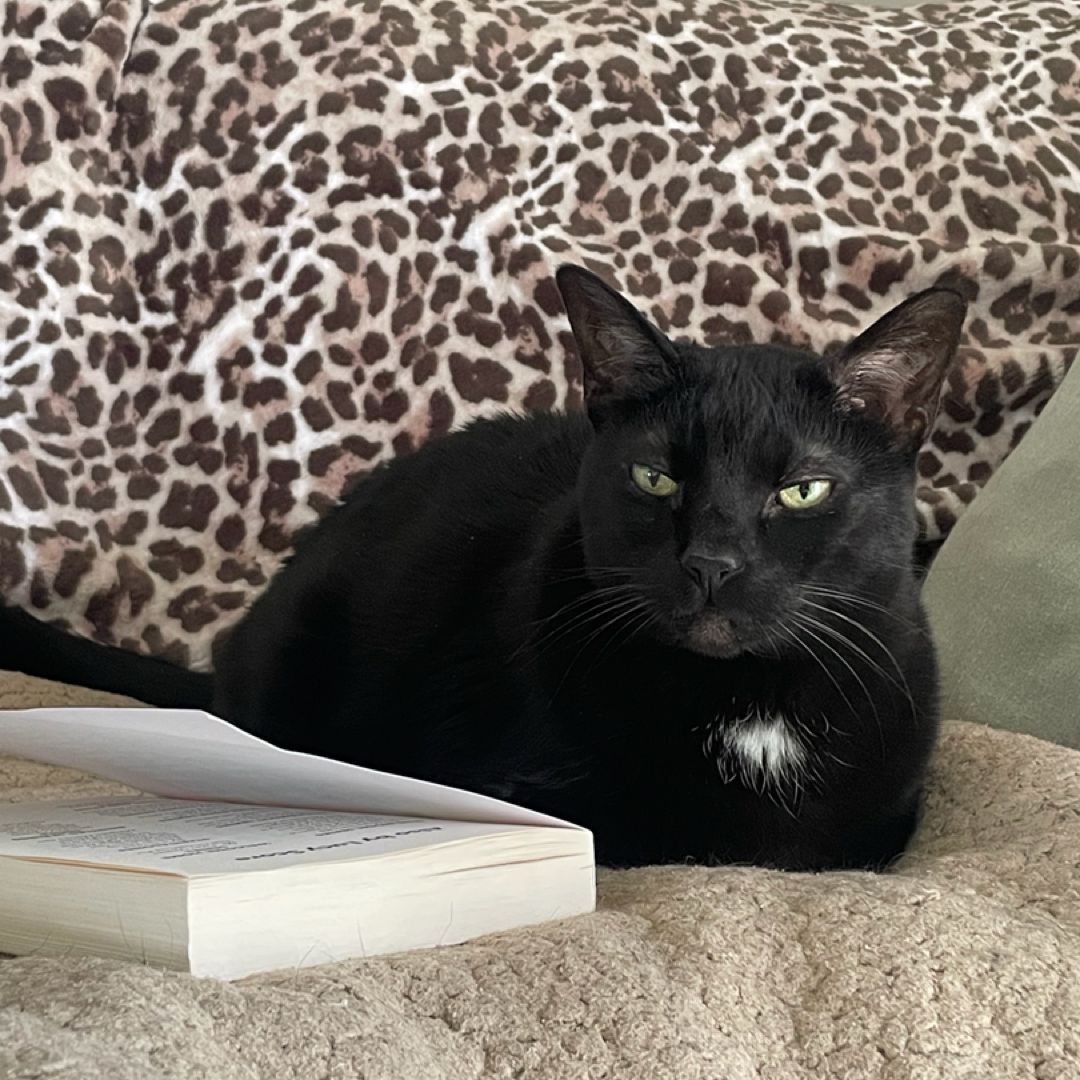 Katy’s Reads