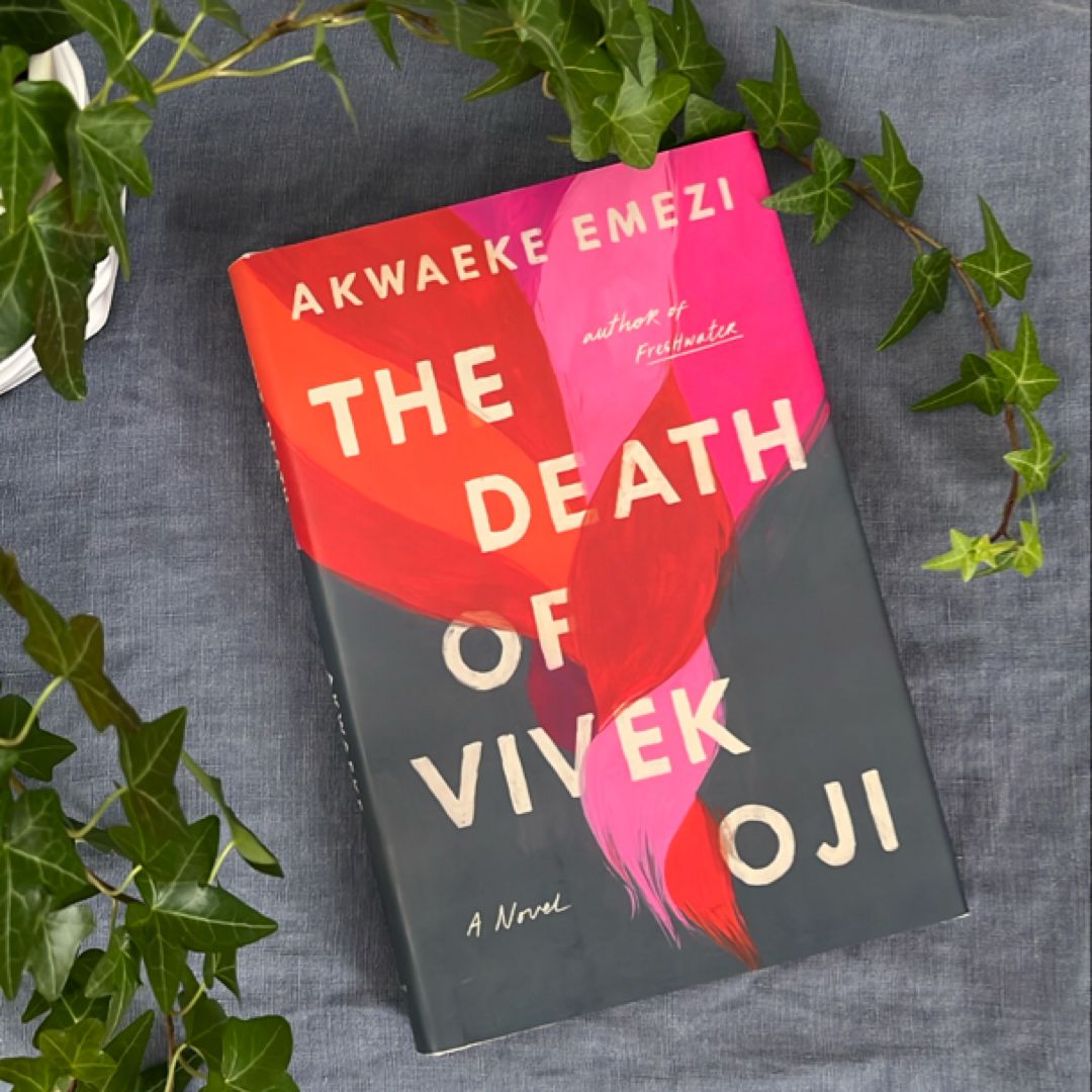 The Death of Vivek Oji