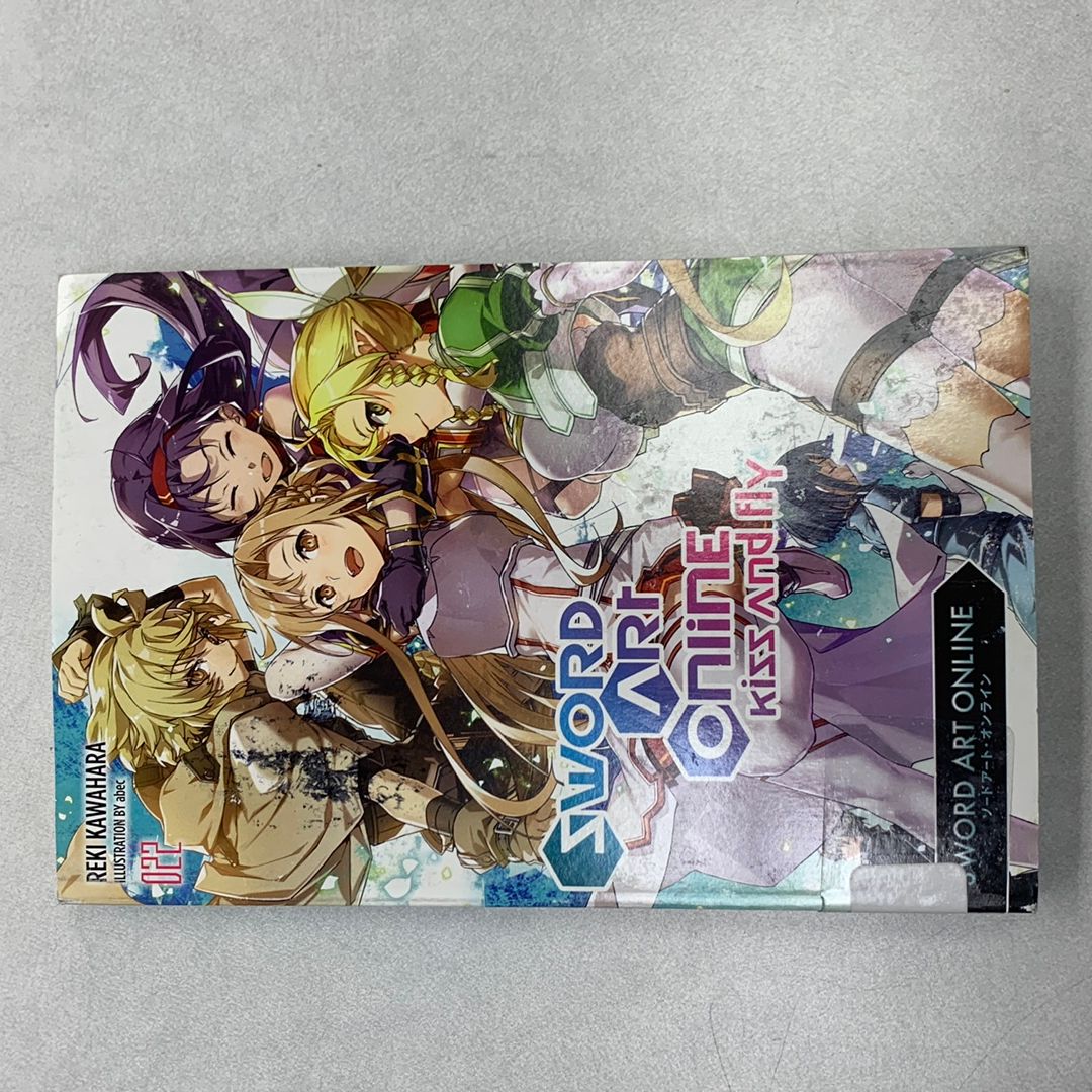Sword Art Online 22 (light Novel)
