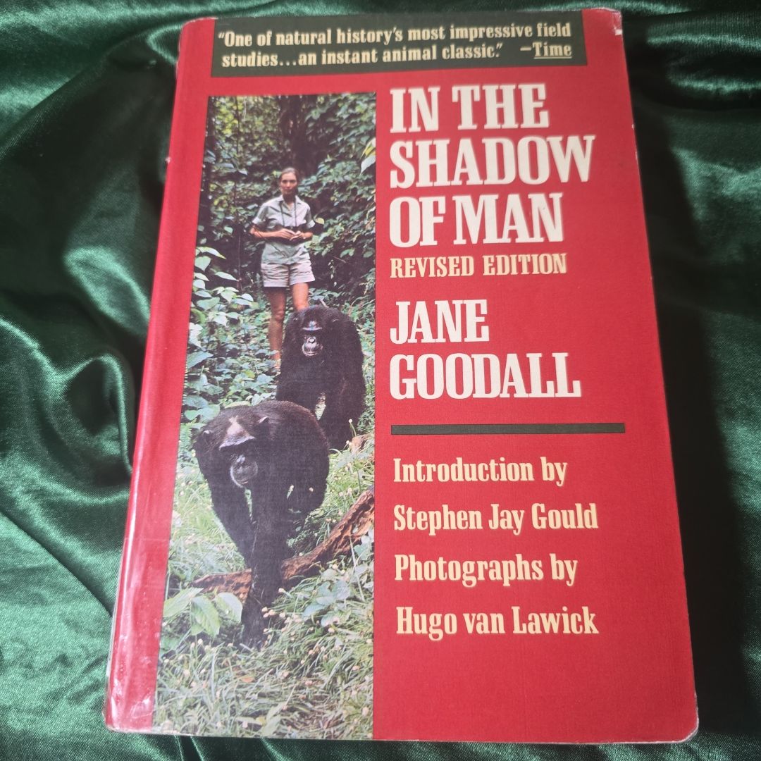 In the Shadow of Man