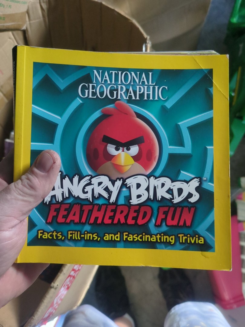 Angry Birds