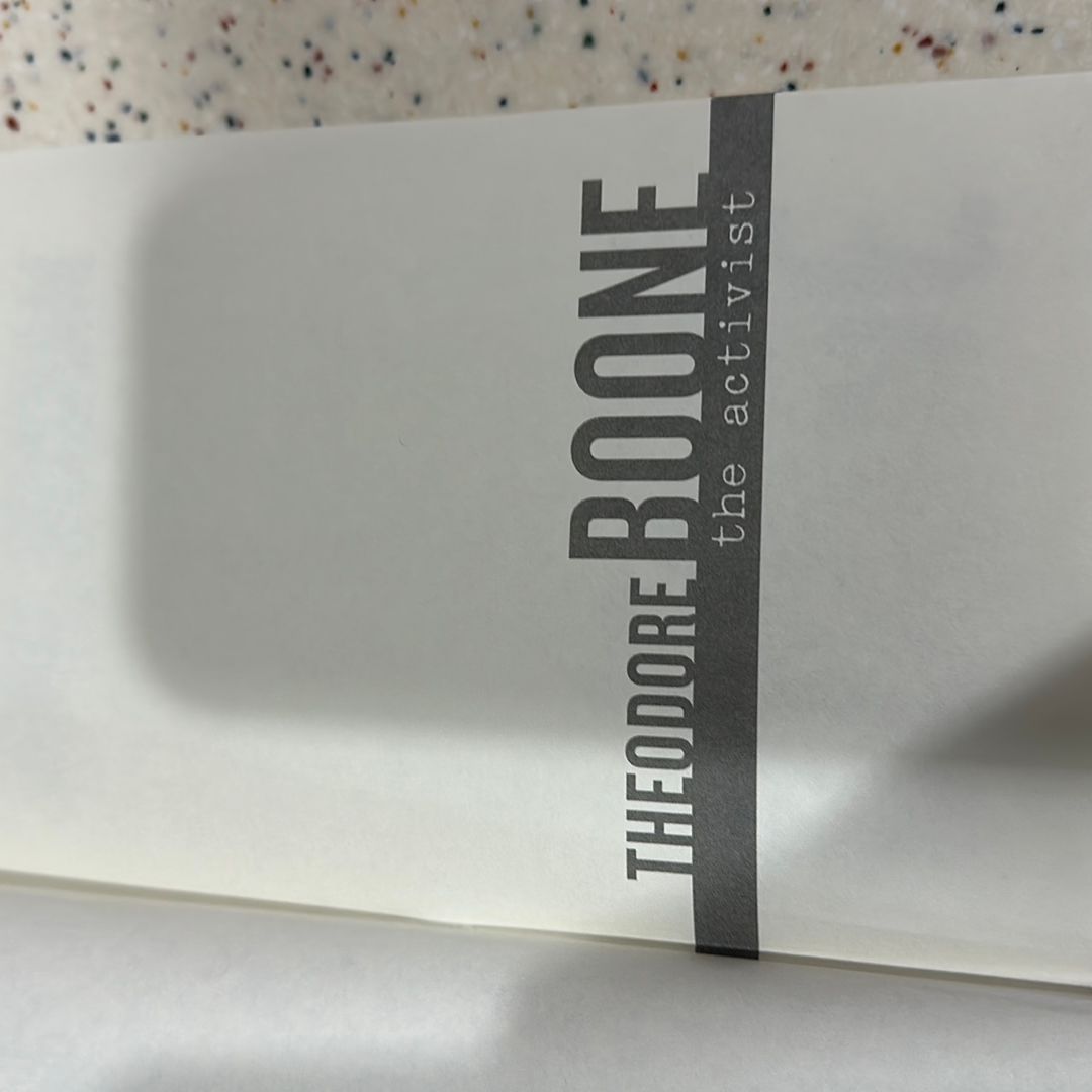 Theodore Boone: the Activist