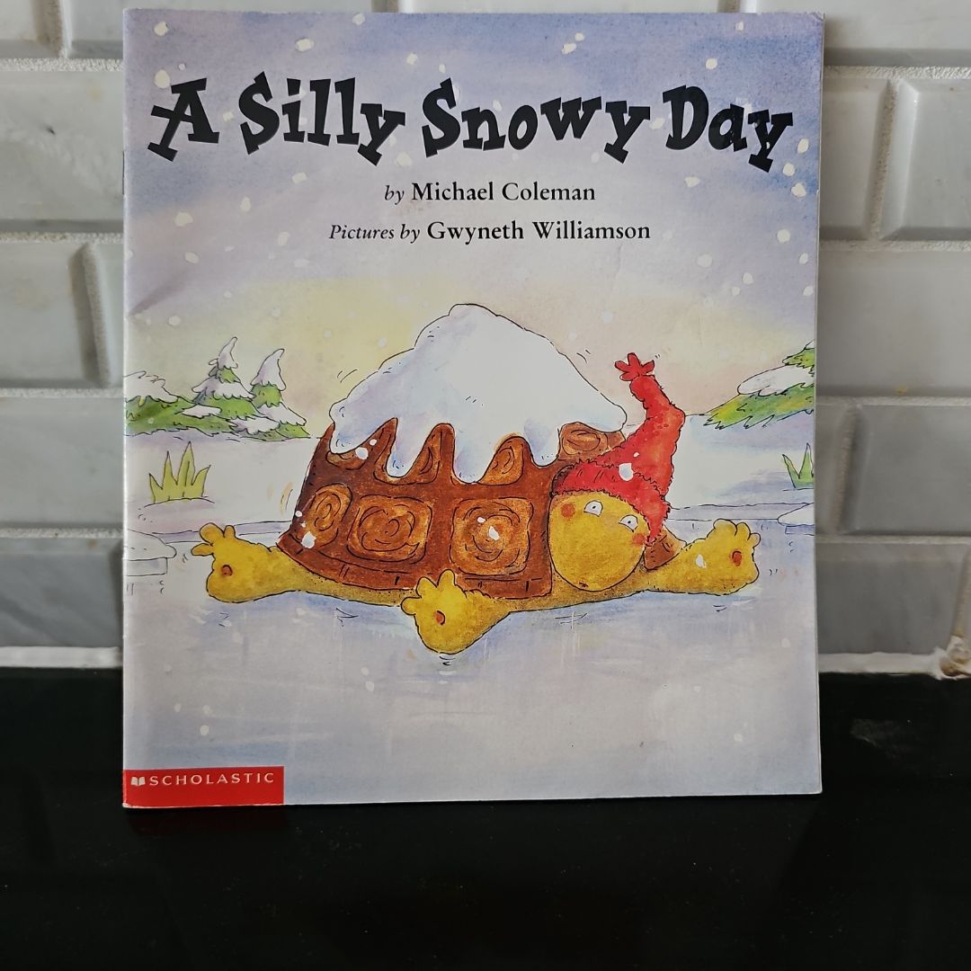 A Silly Snowy Day