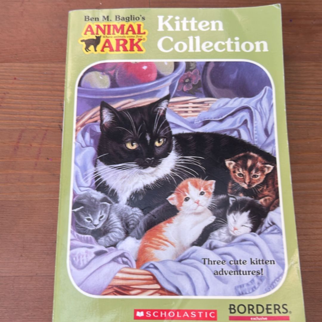 Kitten Collection
