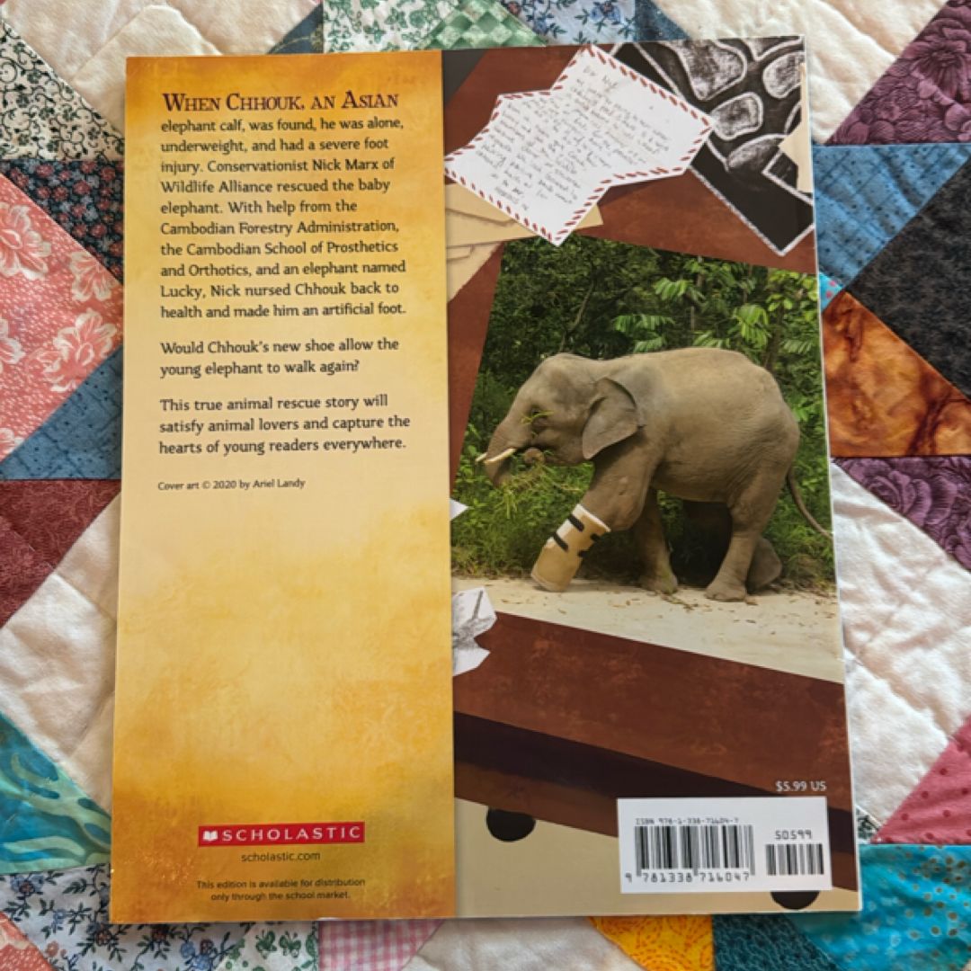 The Elephant's New Shoe