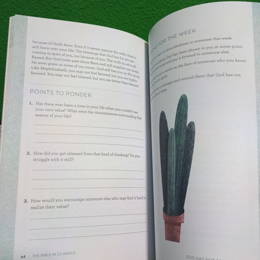 The Bible in 52 Weeks