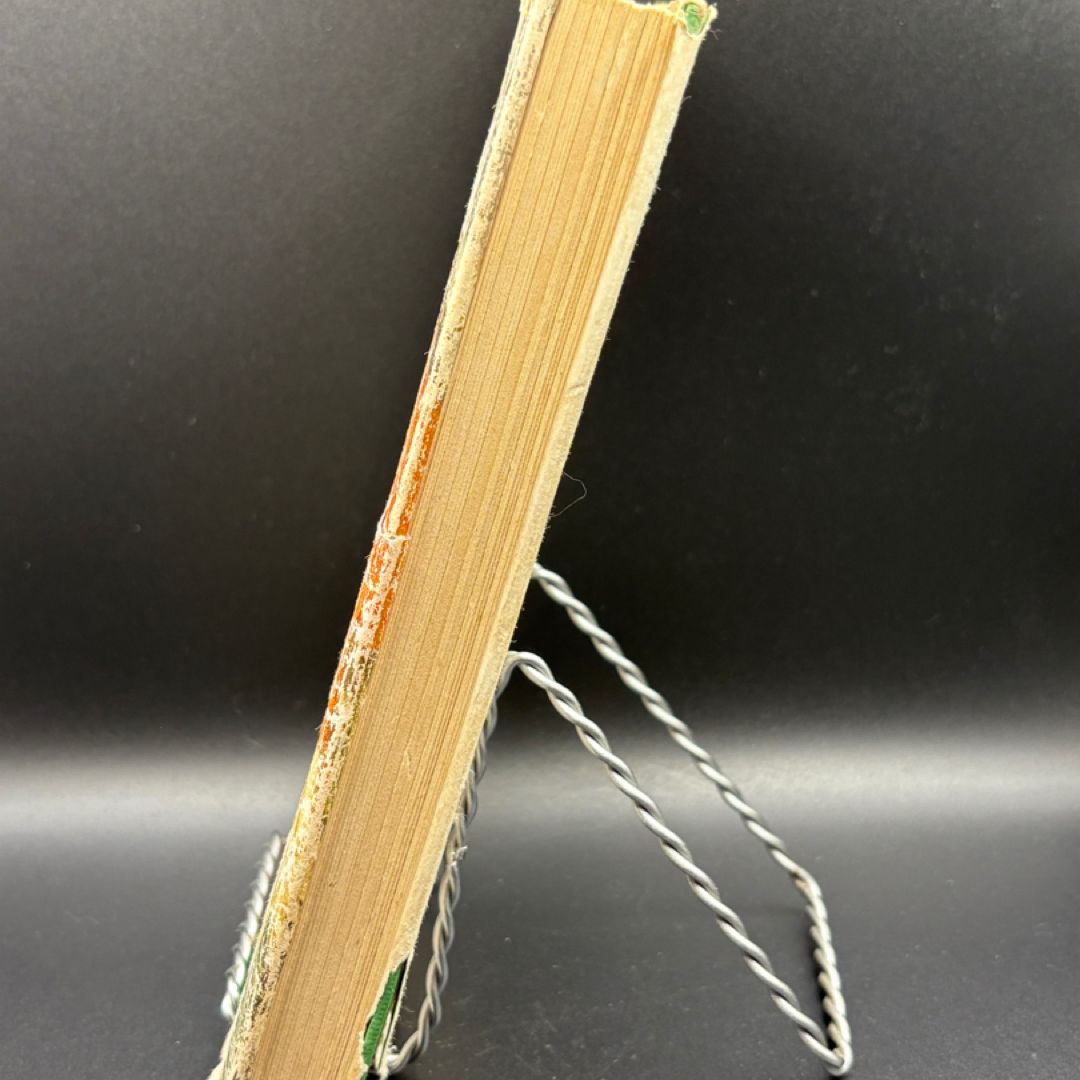 The Circle of Footprints