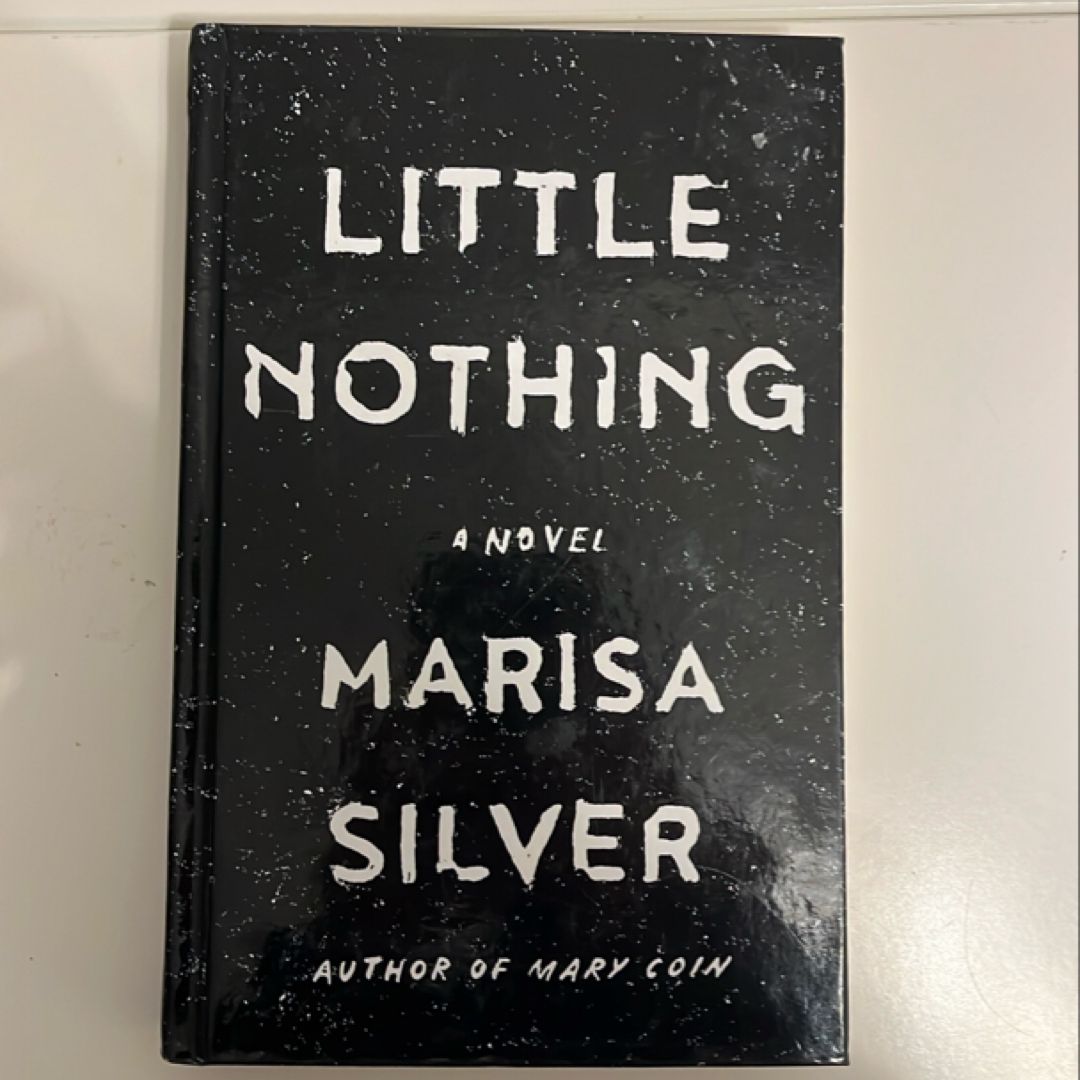 Little Nothing (LARGE PRİNT)