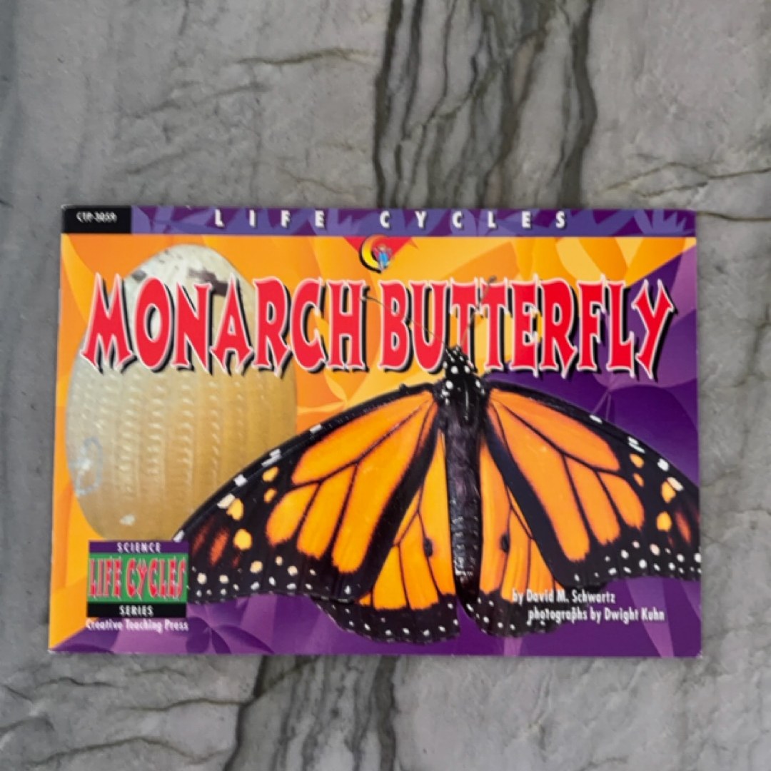 Monarch Butterfly