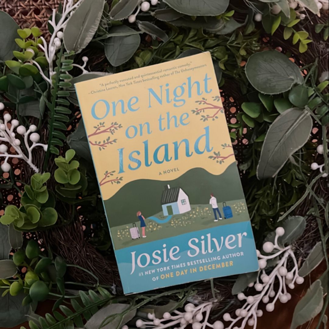 One Night on the Island