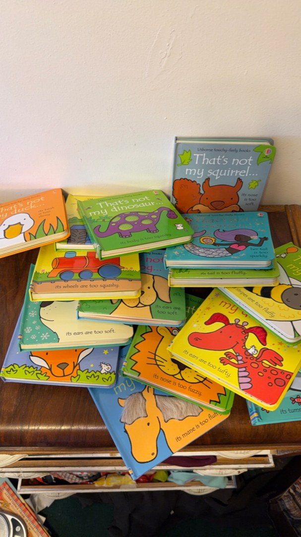 Thats Not My Penguin and other Book Bundle 17 books