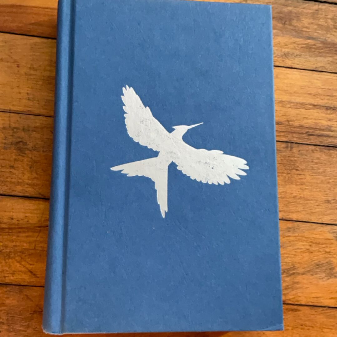 Mockingjay
