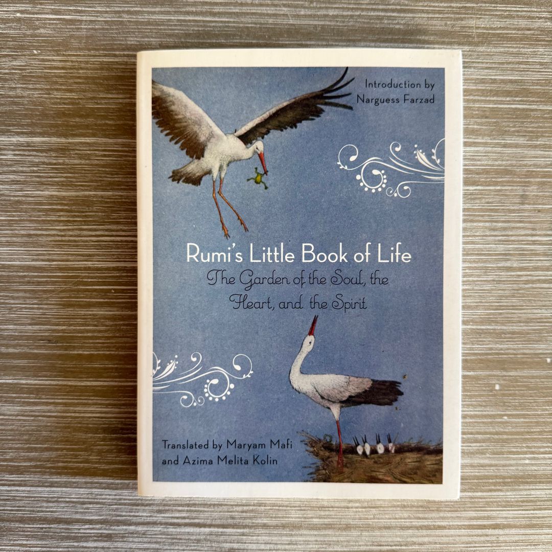 Rumi's Little Book of Life