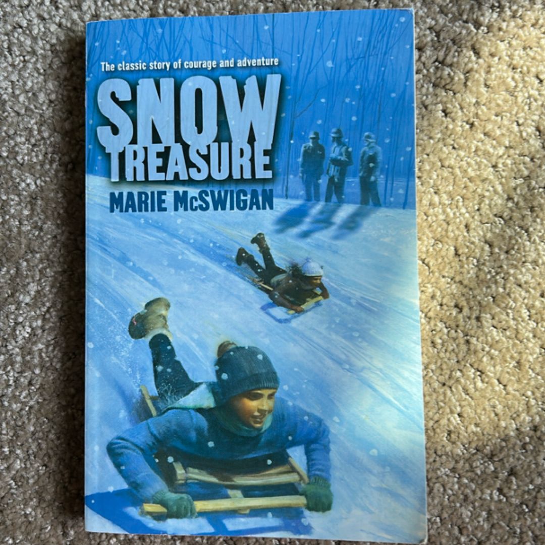 Snow Treasure
