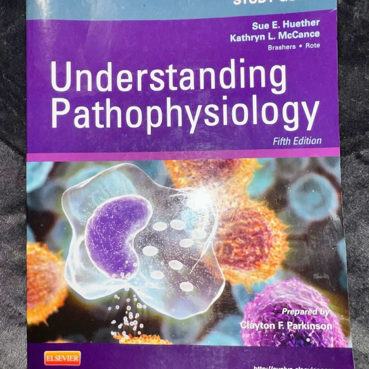 Study Guide for Understanding Pathophysiology by Sue E. Huether ...