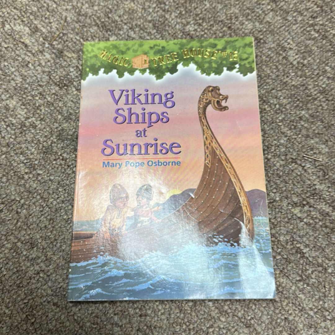 Viking Ships at Sunrise