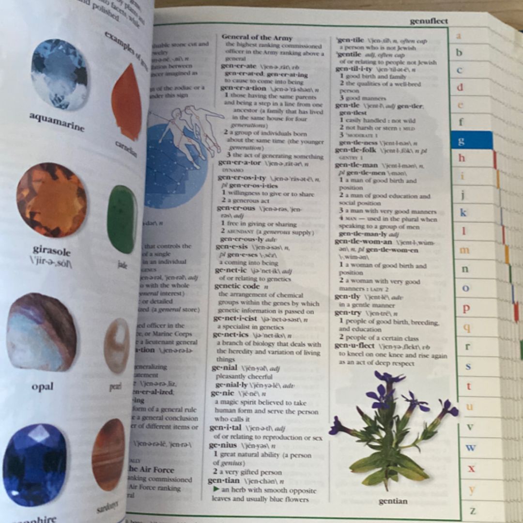 Merriam-Webster Children's Dictionary, New Edition