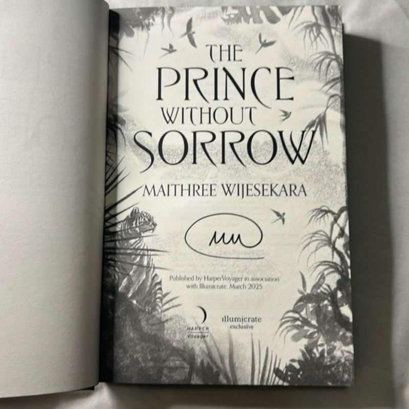 The Prince Without Sorrow
