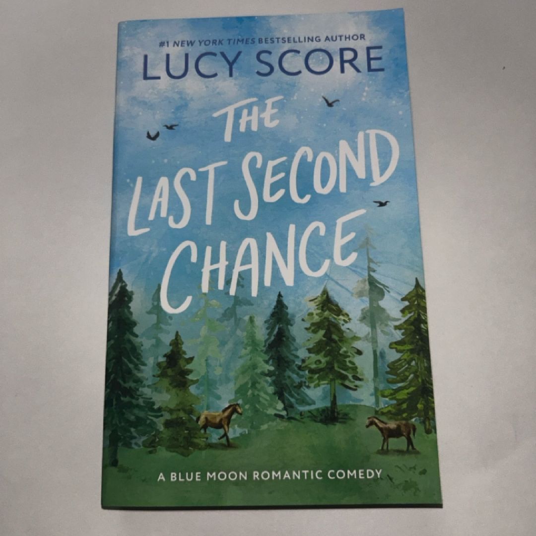 The Last Second Chance