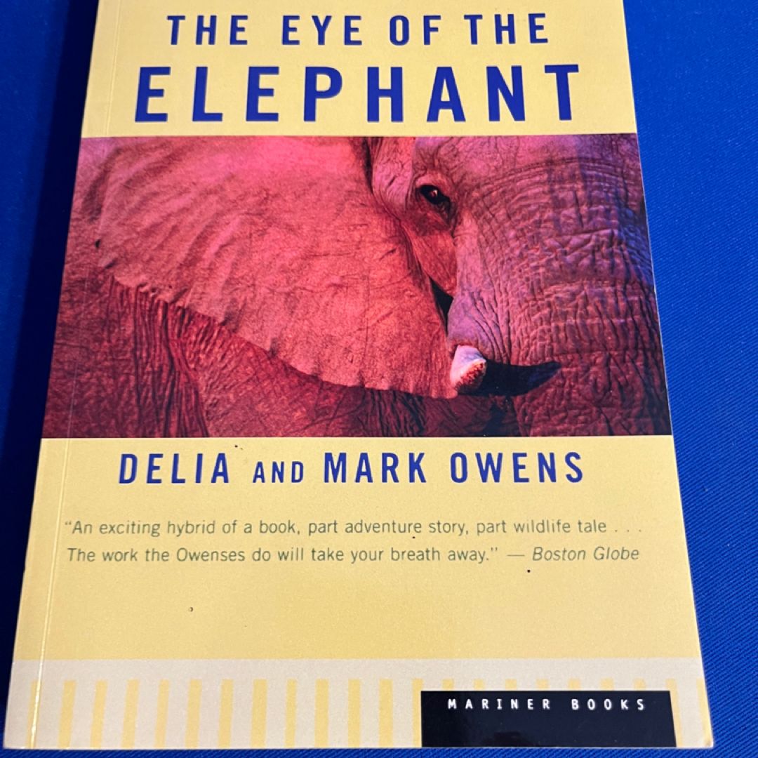 The Eye of the Elephant