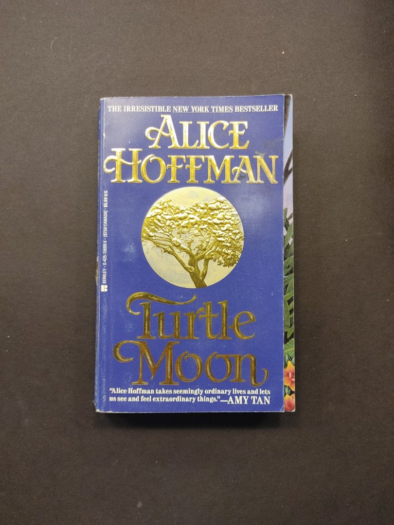 Turtle Moon