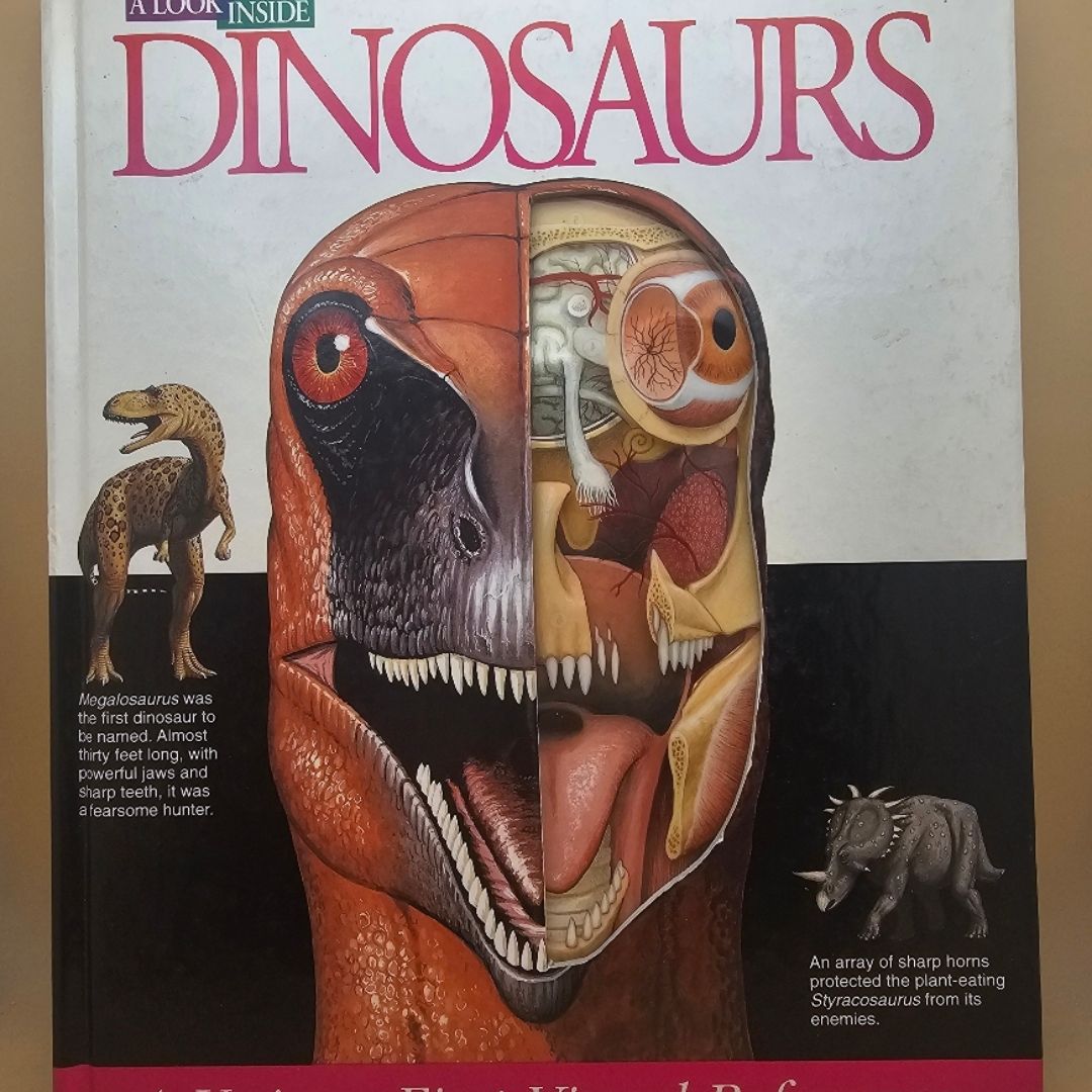 A look inside dinosaurs 