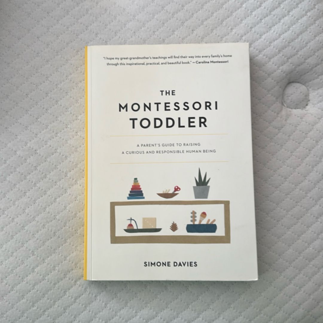 The Montessori Toddler