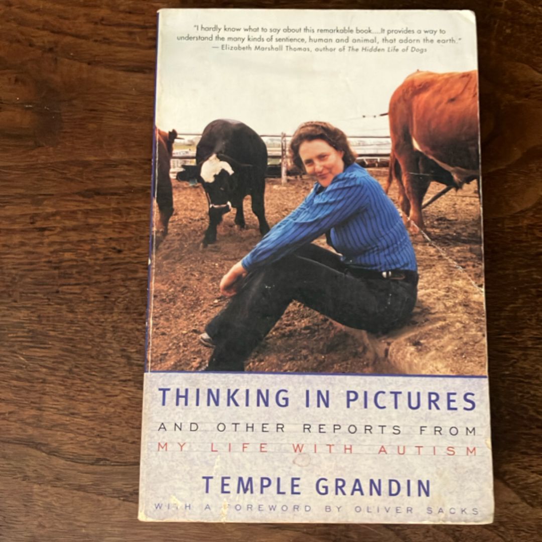 Thinking in Pictures
