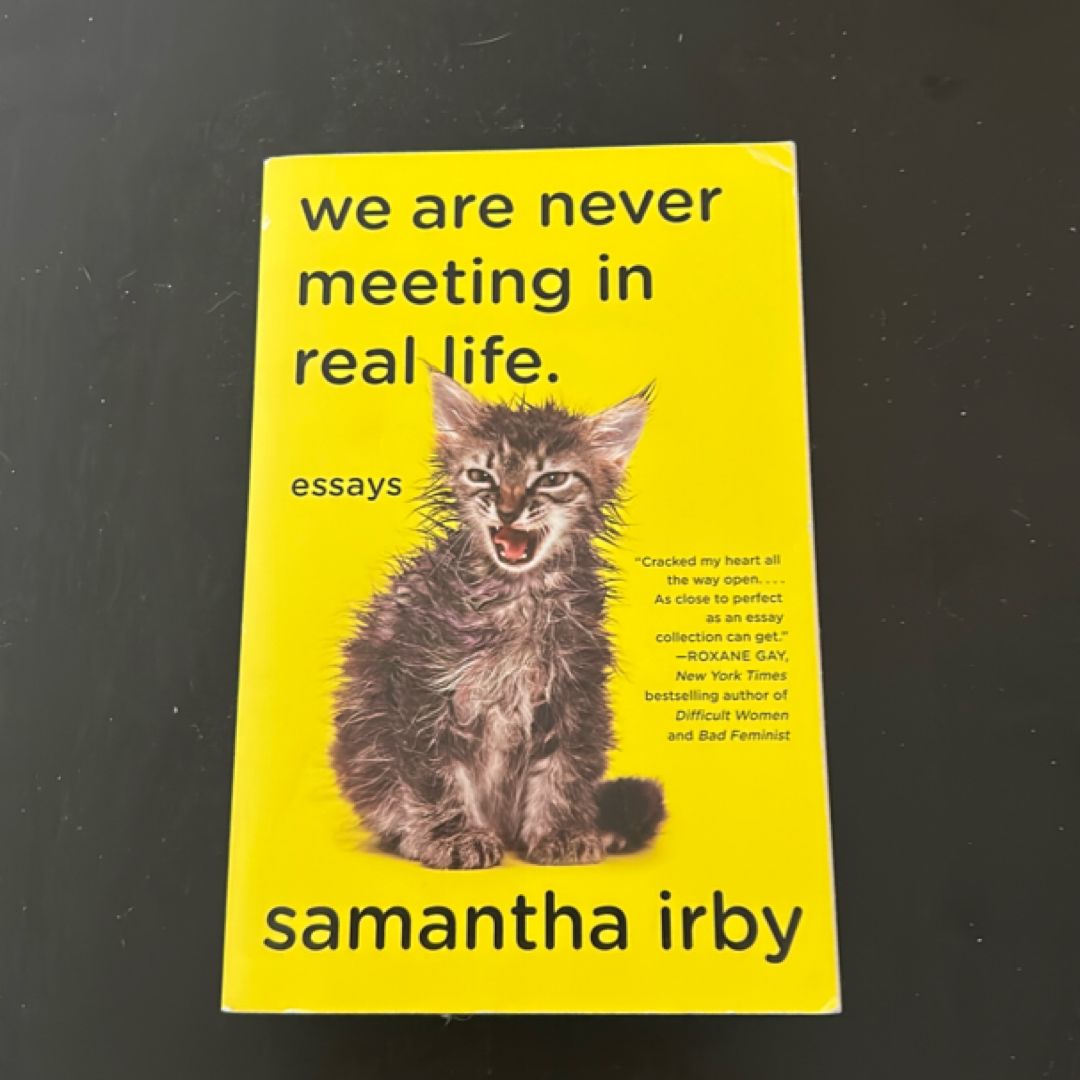 We Are Never Meeting in Real Life