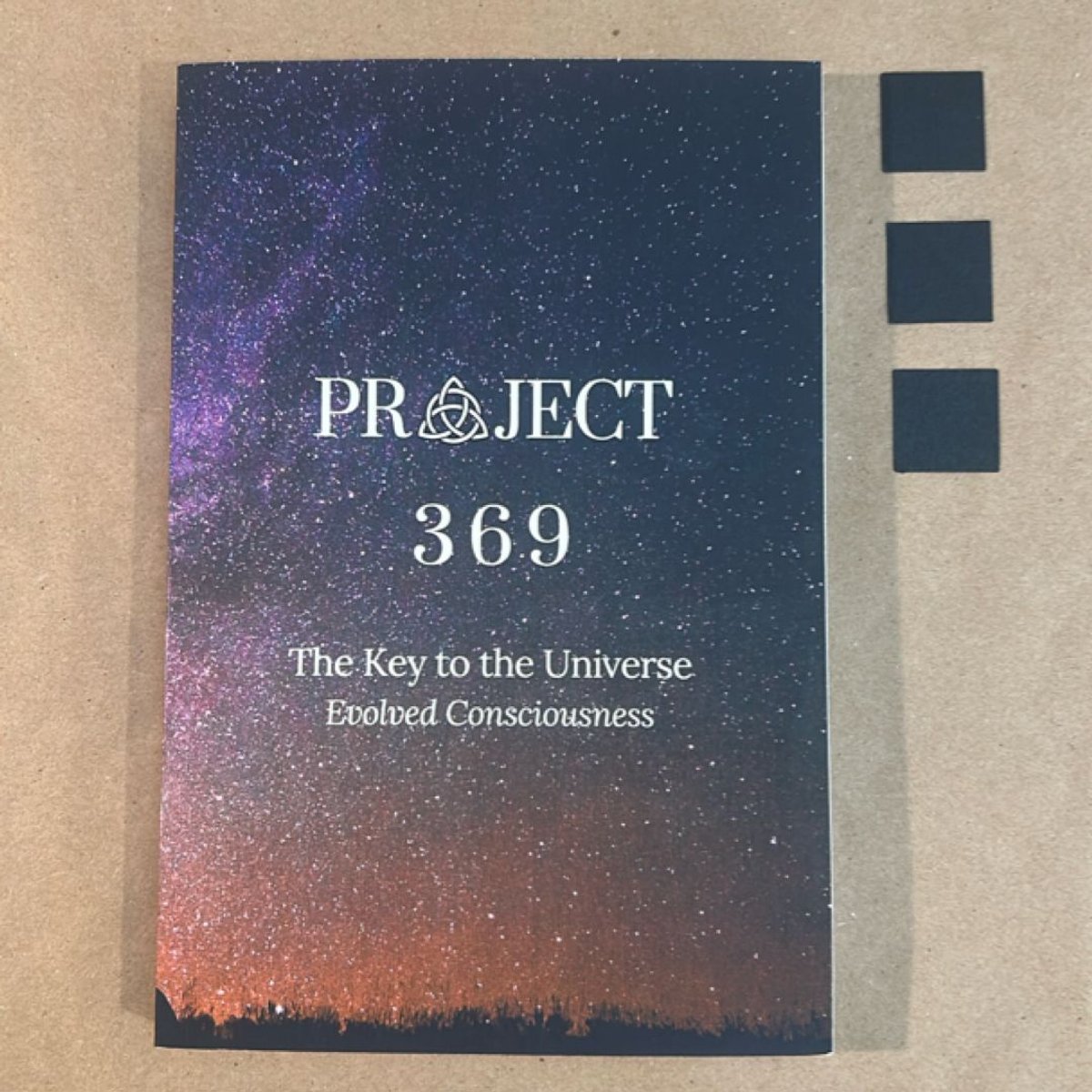 Project 369 by David Kasneci, Paperback | PangoBooks