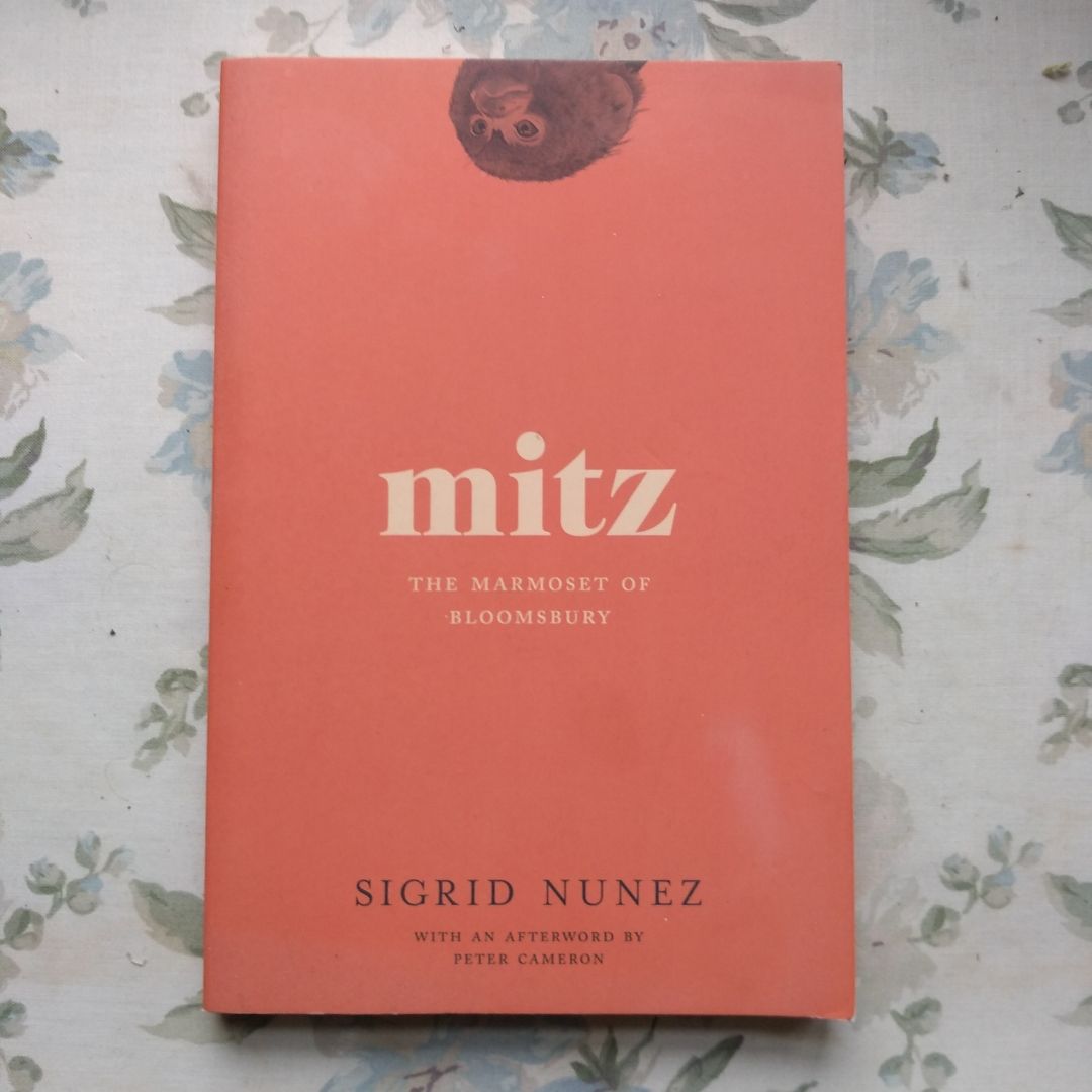 Mitz